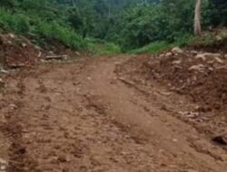 Tambang Emas Ilegal di Hutan Lindung Boltim Kian Masif, Diduga Dikendalikan “Ko Fanny”