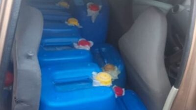 Resmob Polresta Manado Tangkap Pelaku Penimbunan BBM Jenis Pertalite di Mandolang