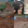 Tambang Ilegal Moreah, Jejak Bisnis Kotor, Perlindungan Oknum, dan Hukum yang Lumpuh di Minahasa Tenggara