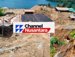 Tambang Ilegal Bowone Menggila, Excavator Cukong Menggerus Hukum dan Hutan Sangihe