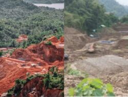 PETI Rusak Kampung Presiden Prabowo, Jejak Kader Partai Politik Disorot Publik